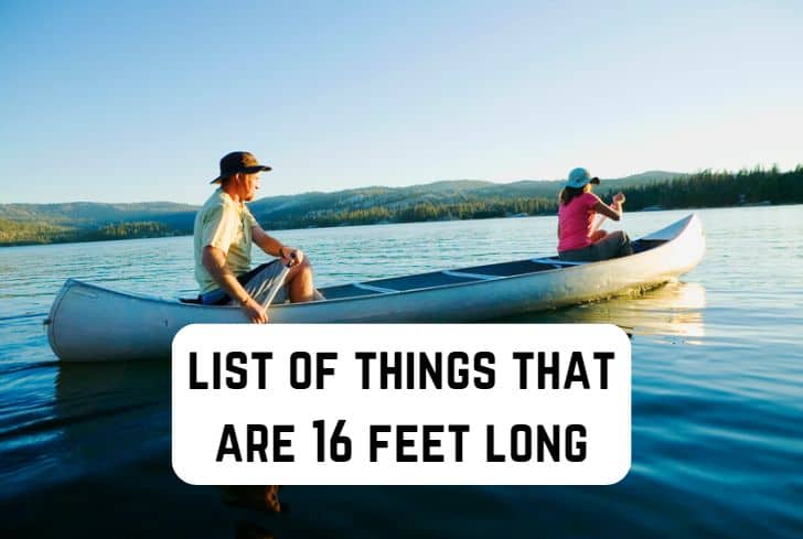 things that are 16 feet long