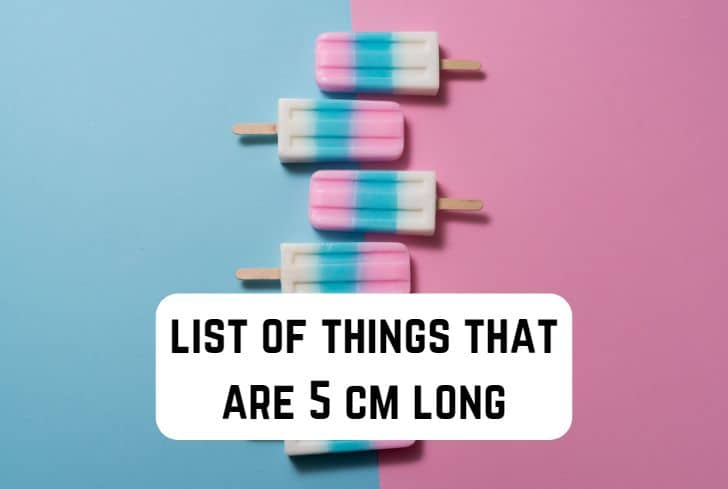 things that are 5 cm long