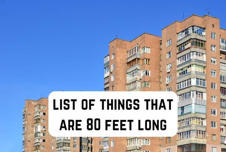 things that are 80 feet long
