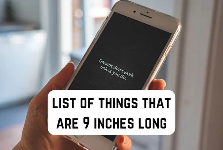 things that are 9 inches long