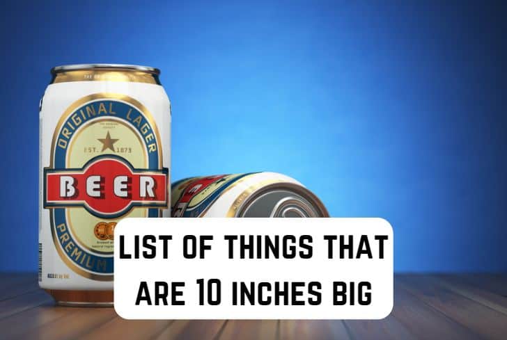 things that are 10 inches long
