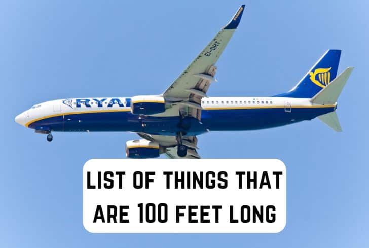 things that are 100 feet long