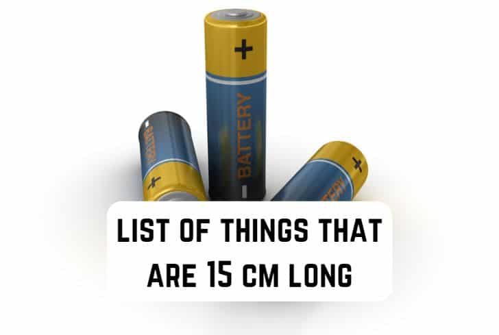things that are 15 cm long