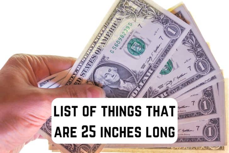 things that are 25 inches long