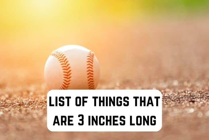 things that are 3 inches long