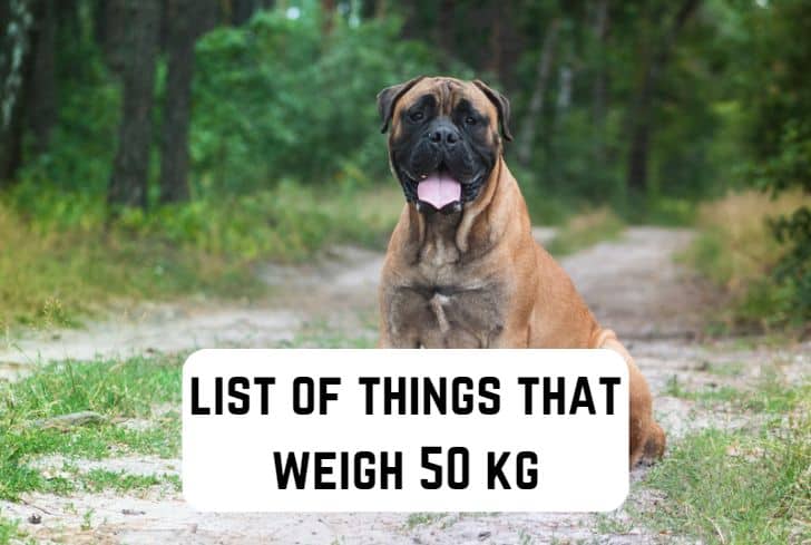 things that weigh 50 kg