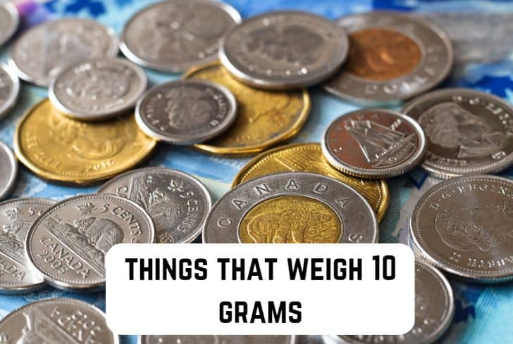 things that weigh 10 grams