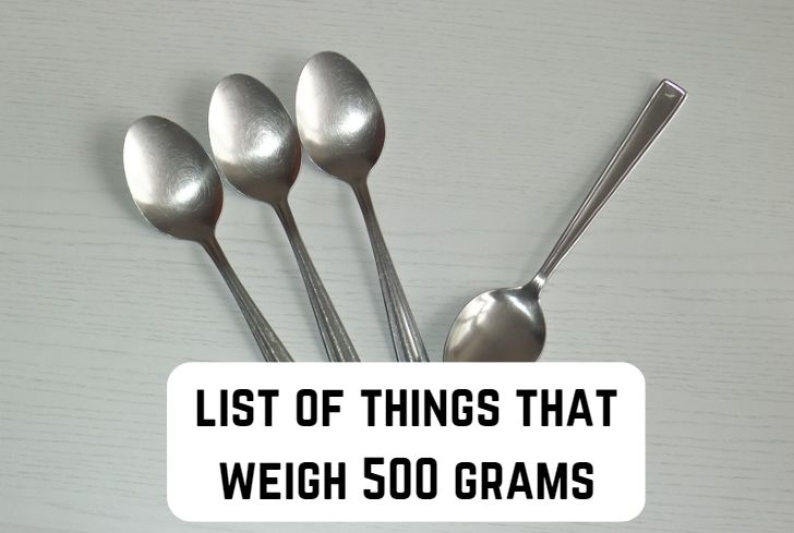 things that weigh 500 grams