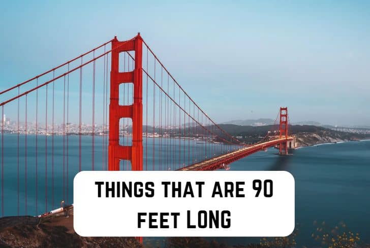 things-that-are-90-feet-long