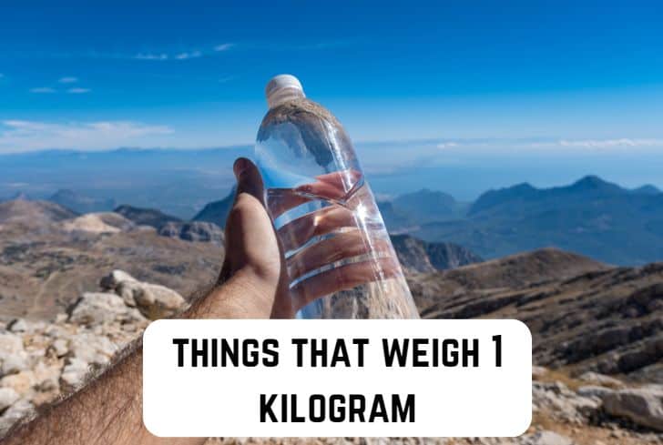 things that are 1 kilogram