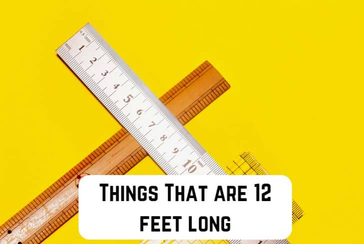 things that are 12 feet long