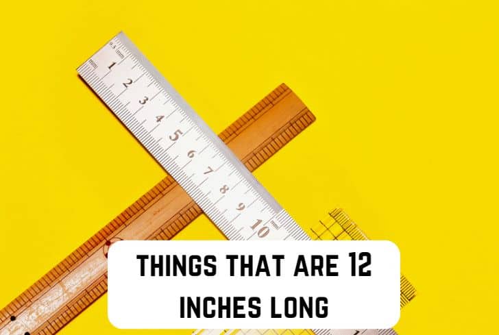 things that are 12 inches long