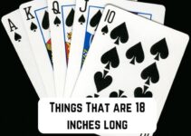 10 Common Things That are 18 Inches Long (With Pictures)