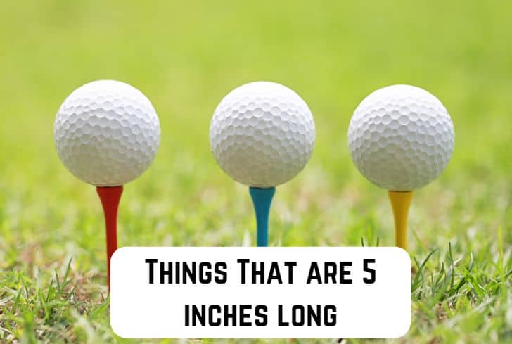 things that are 5 inches long