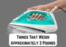 9 Things That Weigh Approx 3 Pounds (With Pictures) 