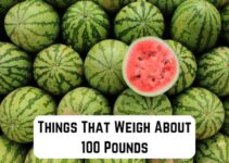 9 Common Things That Weigh About 100 Pounds (Examples)
