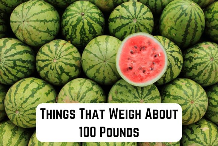 things that weigh 100 pounds