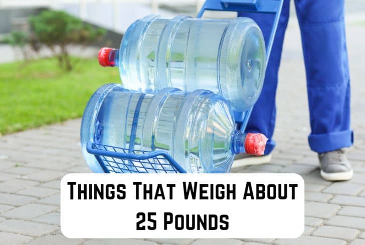 things that weigh 25 pounds