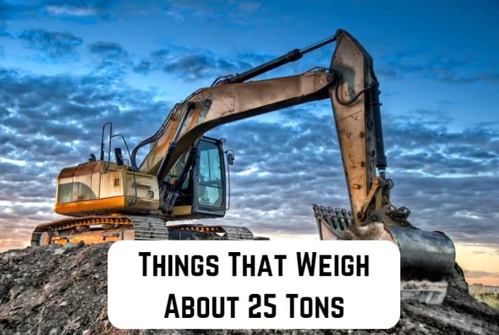 things that weigh 25 tons