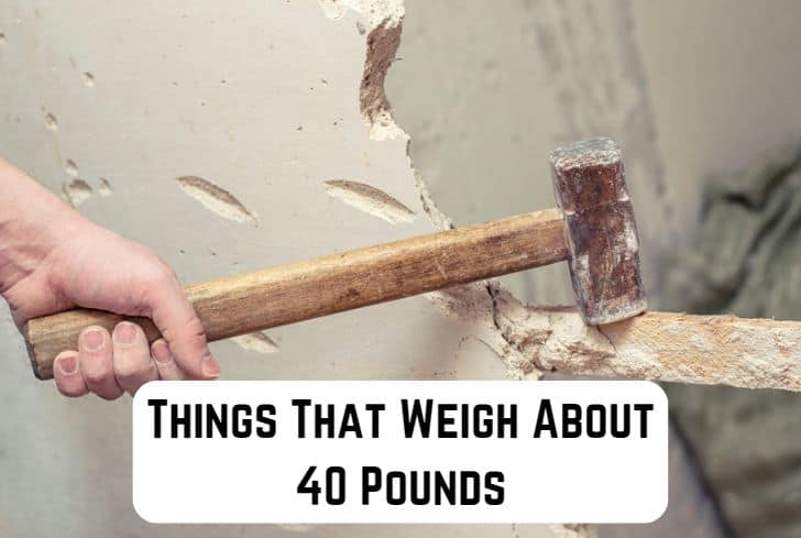 things that weigh 40 pounds