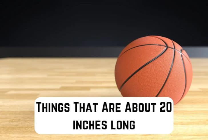 things that are 20 inches long