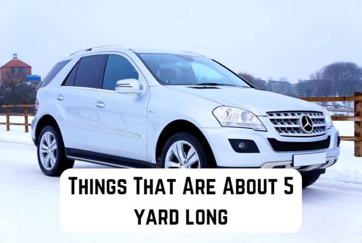 things that are 5 yard long