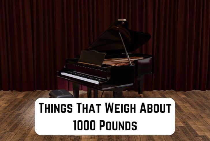 things-that-weigh-1000-pounds