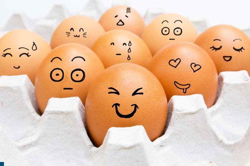 How Much Does an Egg Weigh? Guide to Egg Sizes Measuringly