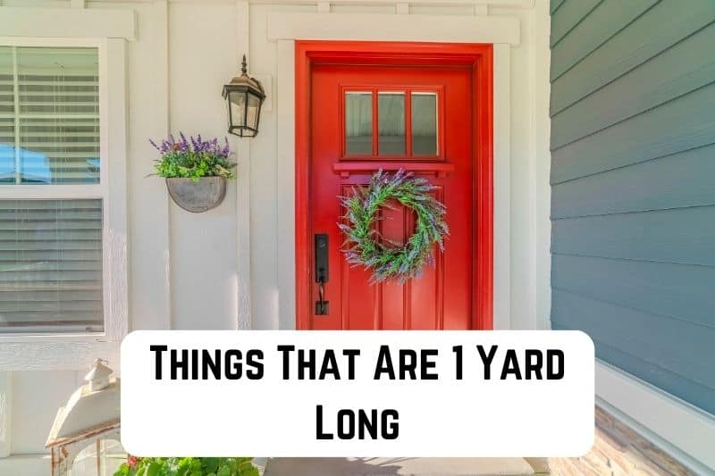 things that are 1 yard long