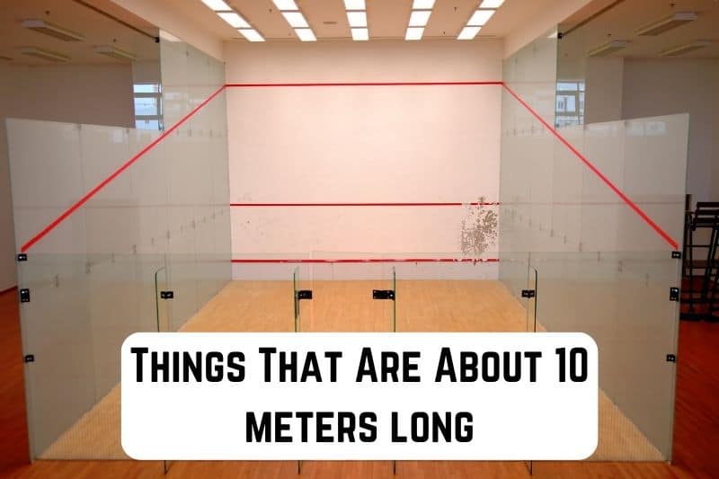 things that are 10 meters long