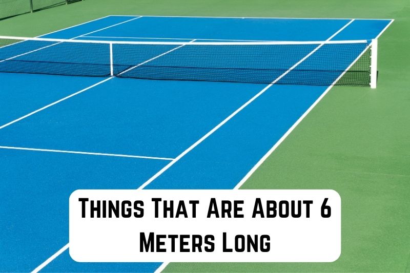 things-that-are-6-meters-long