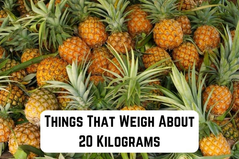 things that weigh 20 kg