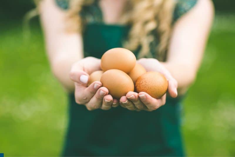How Much Does an Egg Weigh? Guide to Egg Sizes Measuringly