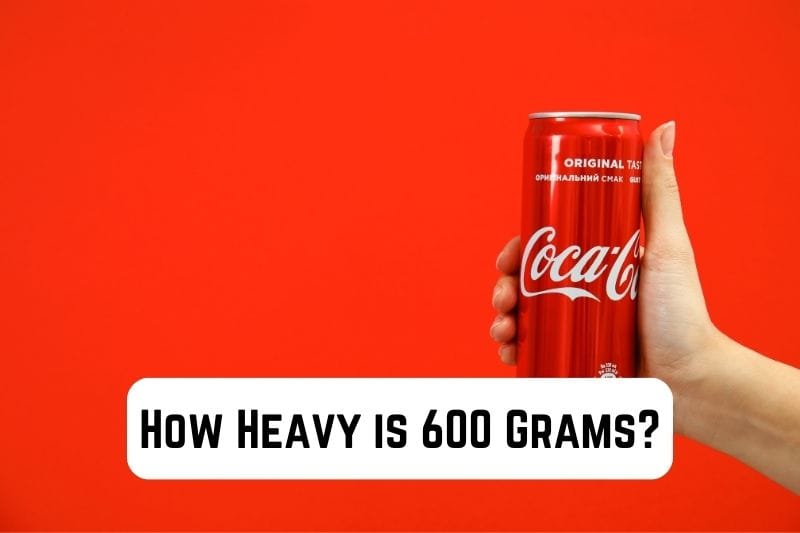 how-heavy-is-600-grams
