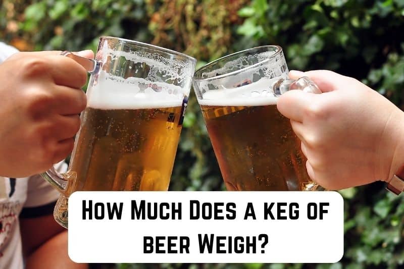 how-much-does-a-keg-of-beer-weigh