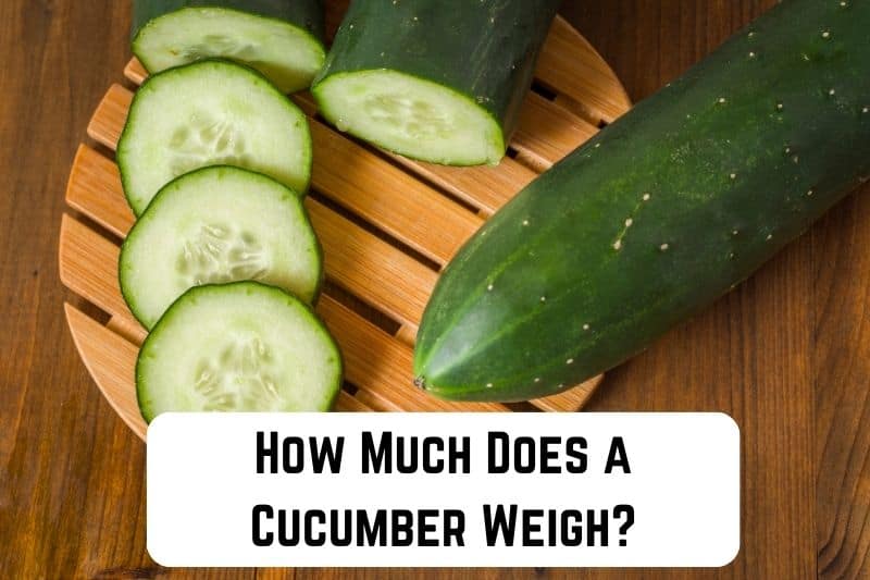 how-much-does-cucumber-weigh