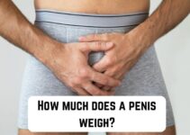 How Much Does a Penis Weigh? (Answer Revealed)