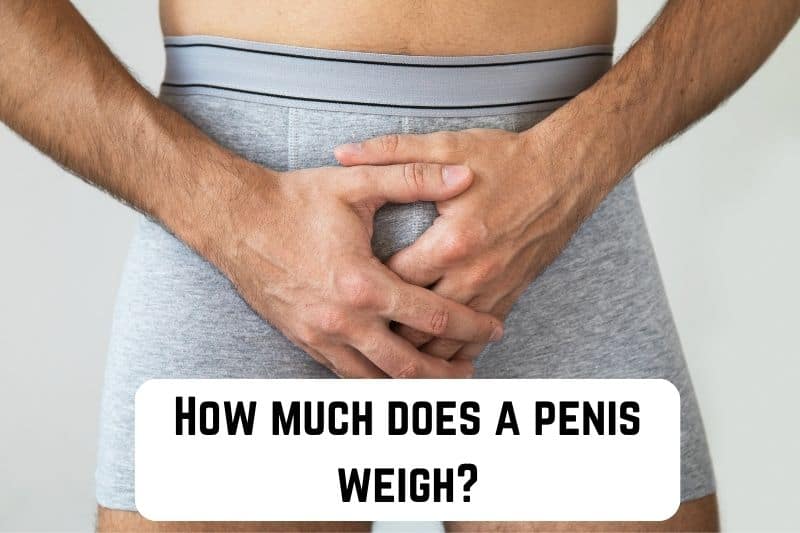 how-much-does-penis-weigh