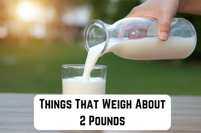 things that weigh 2 pounds