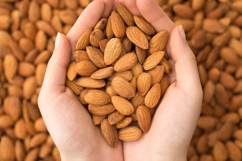 holding-almonds-in-hand