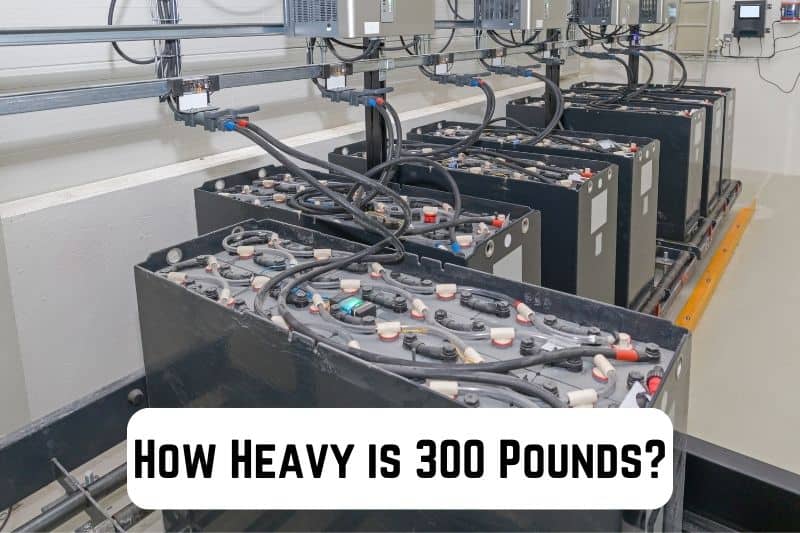 how-heavy-is-300-pounds