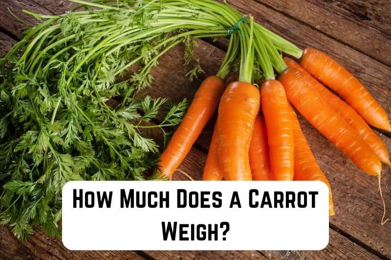 how-much-does-carrot-weigh
