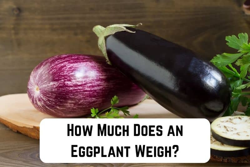 how-much-does-eggplant-weigh