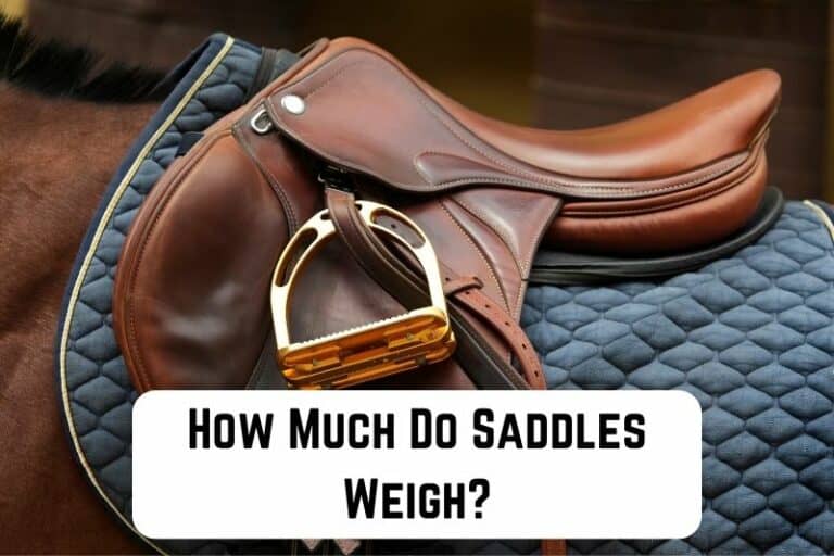 How Much Do Saddles Weigh? (Quick Guide for Horse Riders) Measuringly