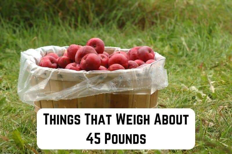 things that weigh 45 pounds