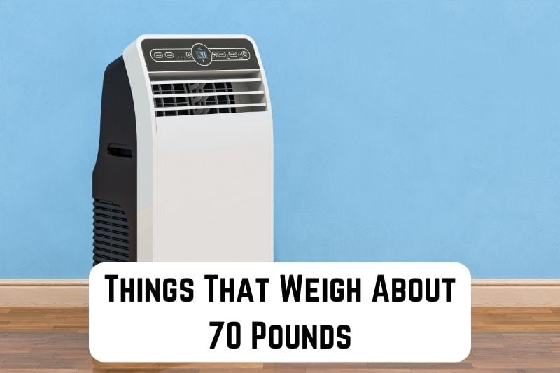 things that weigh 70 pounds