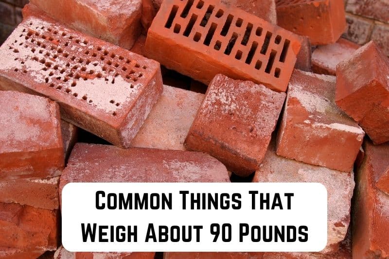things that weigh 90 pounds