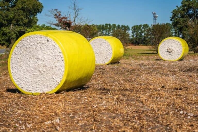 How Much Does a Bale of Cotton Weigh? (Answer Inside) Measuringly
