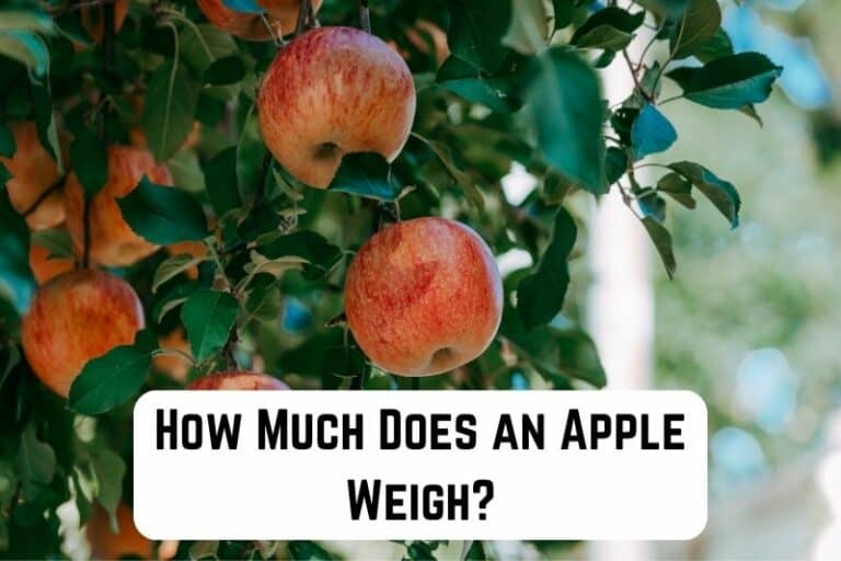 How Much Does an Apple Weigh? (Apple Variety Chart) | Measuringly