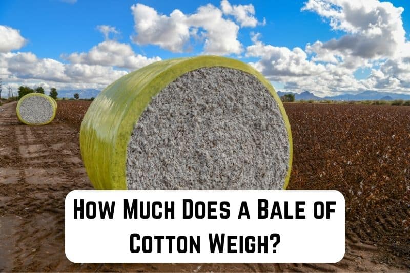 how-much-does-bale-of-cotton-weigh